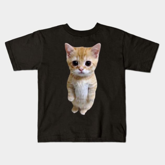 funny meh cat Kids T-Shirt by ezzobair